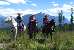 horse trail ride scenery